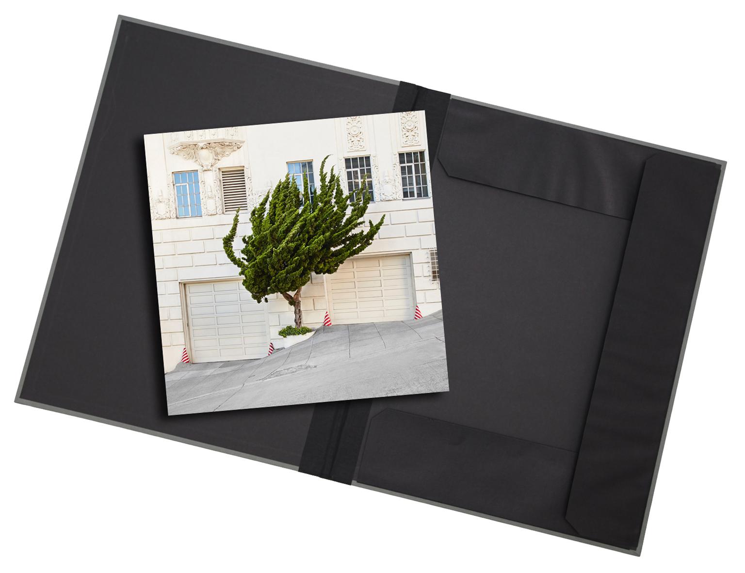 Topiary I - photograph in classic archival artwork portfolio gift binder - Photograph by Frank Schott