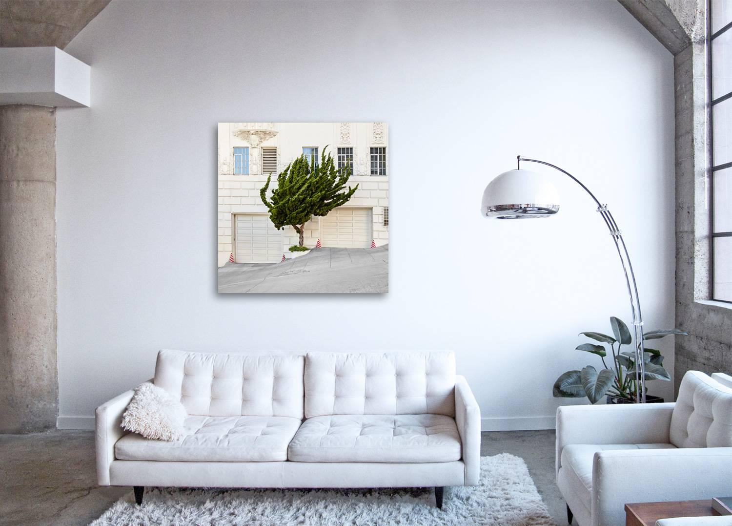 de una serie de observaciones fotográficas que captan las travesuras de la jardinería urbana y el sorprendente arte del minimalismo verde de los topiarios

Topiario I de Frank Schott   

151,13 x 151,13 cm (59,5 x 59,5 pulgadas)
edición firmada de 7