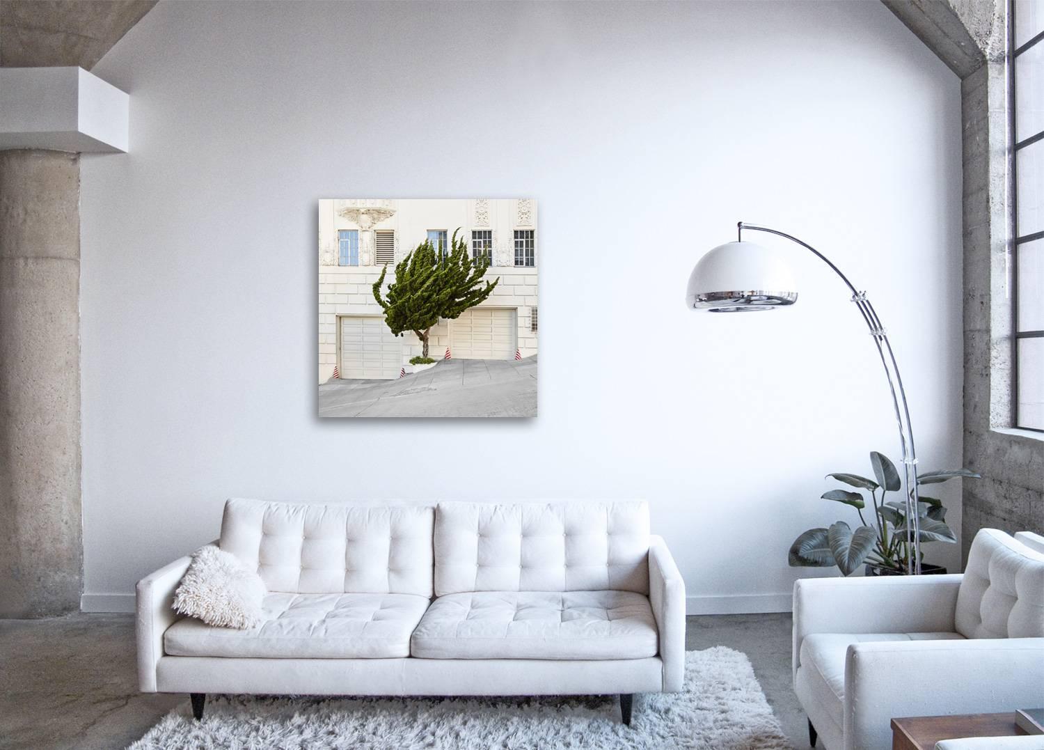 Topiario I - x fotografía de gran formato de árbol con forma ornamental en venta 1