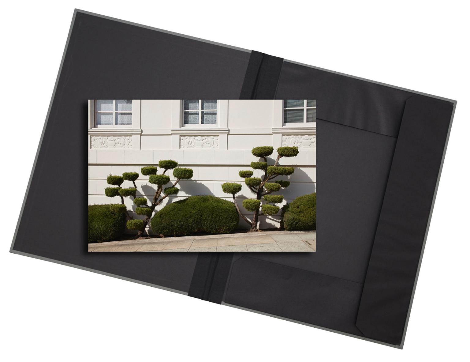 Frank Schott Landscape Print – Topiary II – Fotografie in limitierter Auflage in Archivpassepartout
