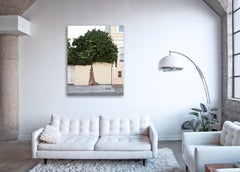 Topiary III – Großformatfotografie eines ornamental geformten Baumes in urbaner Umgebung