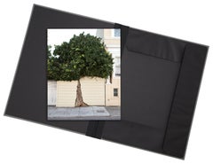 Topiary III ( photographie dans le portefeuille de portfolio d'œuvres d'art d'art)