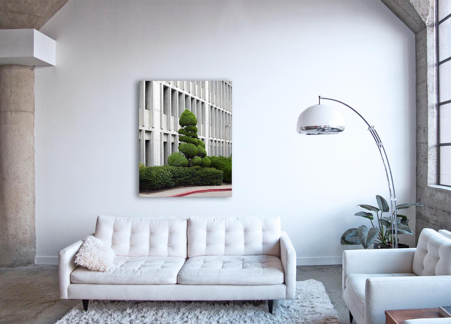 Topiary IV - large format photograph of ornamental shaped tree with architecture - Print by Frank Schott