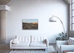 California Dreaming - large scale photograph of iconic desert landscape