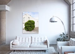 Topiary V - large format photograph of ornamental shaped tree