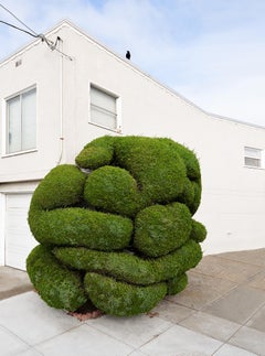 Topiary V - large format photograph of ornamental shaped tree