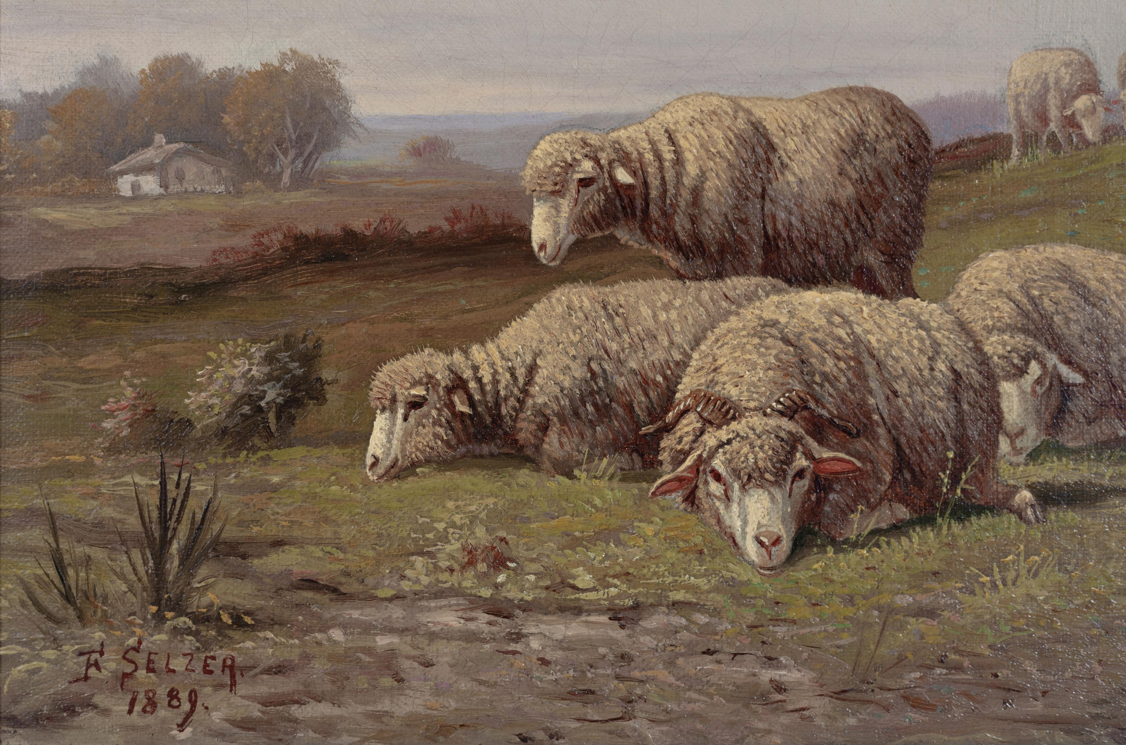 Sheep in Pasture - Painting by Frank Selzer