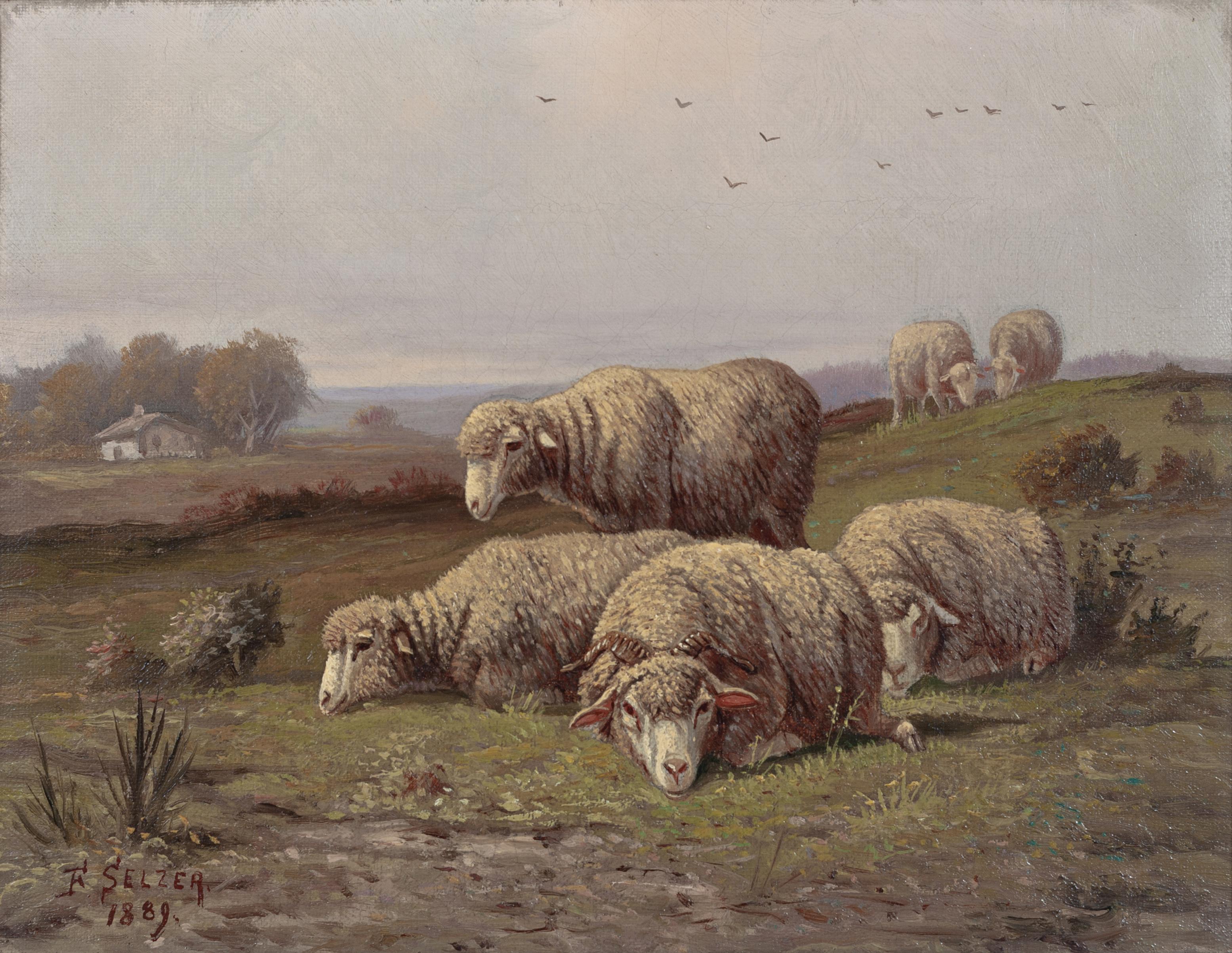 Frank Selzer Animal Painting - Sheep in Pasture