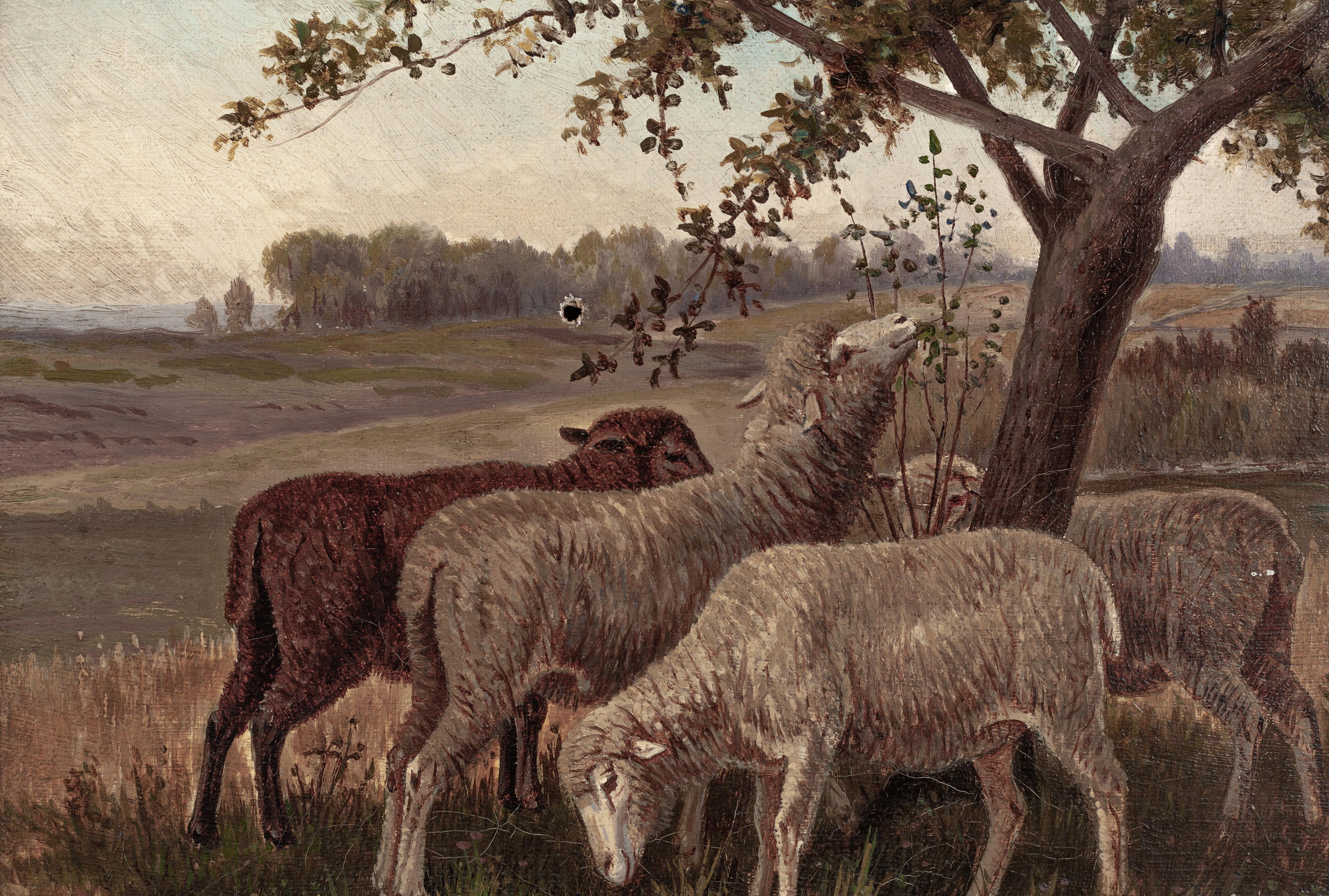 Sheep Under Tree - Painting by Frank Selzer
