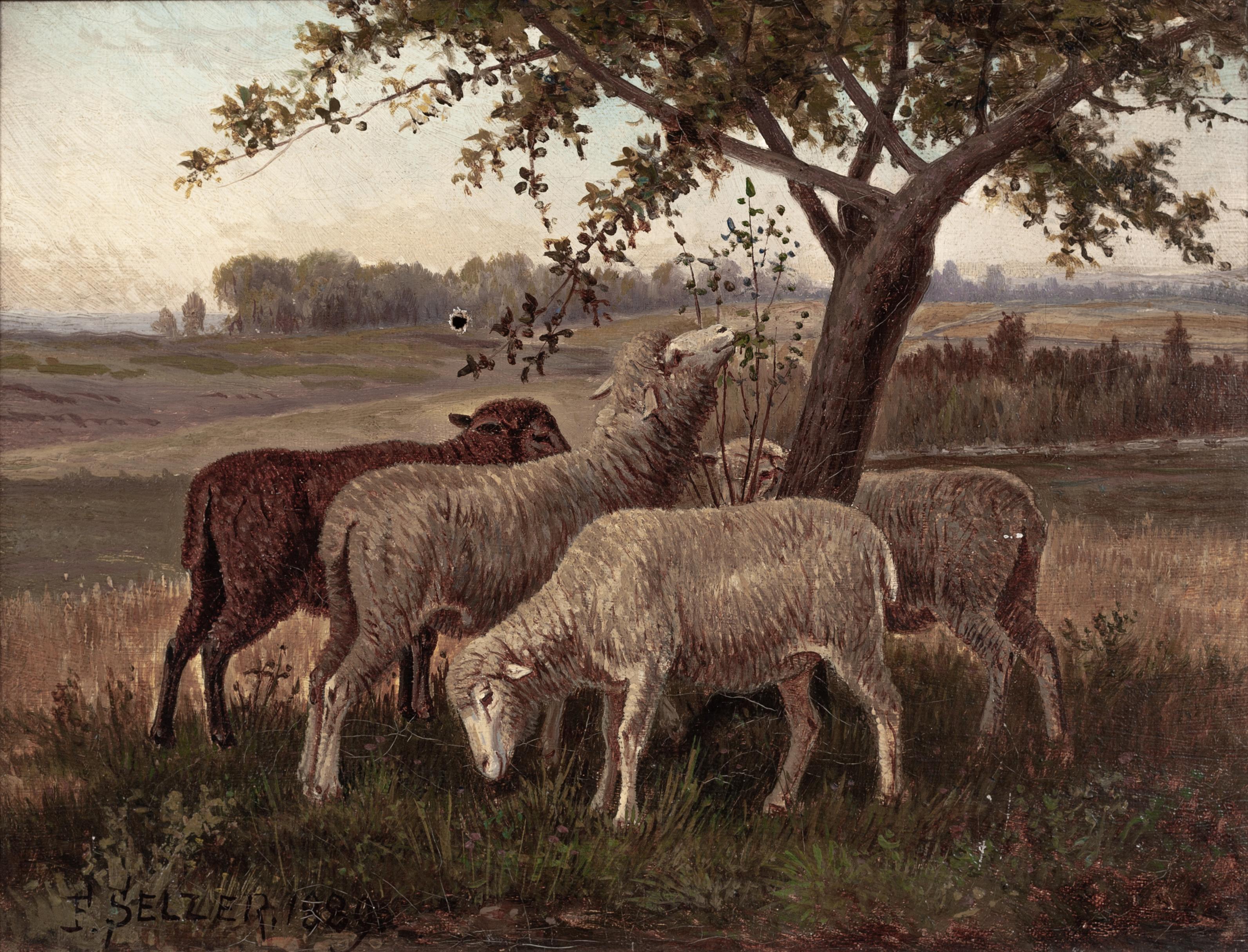 Frank Selzer Landscape Painting - Sheep Under Tree