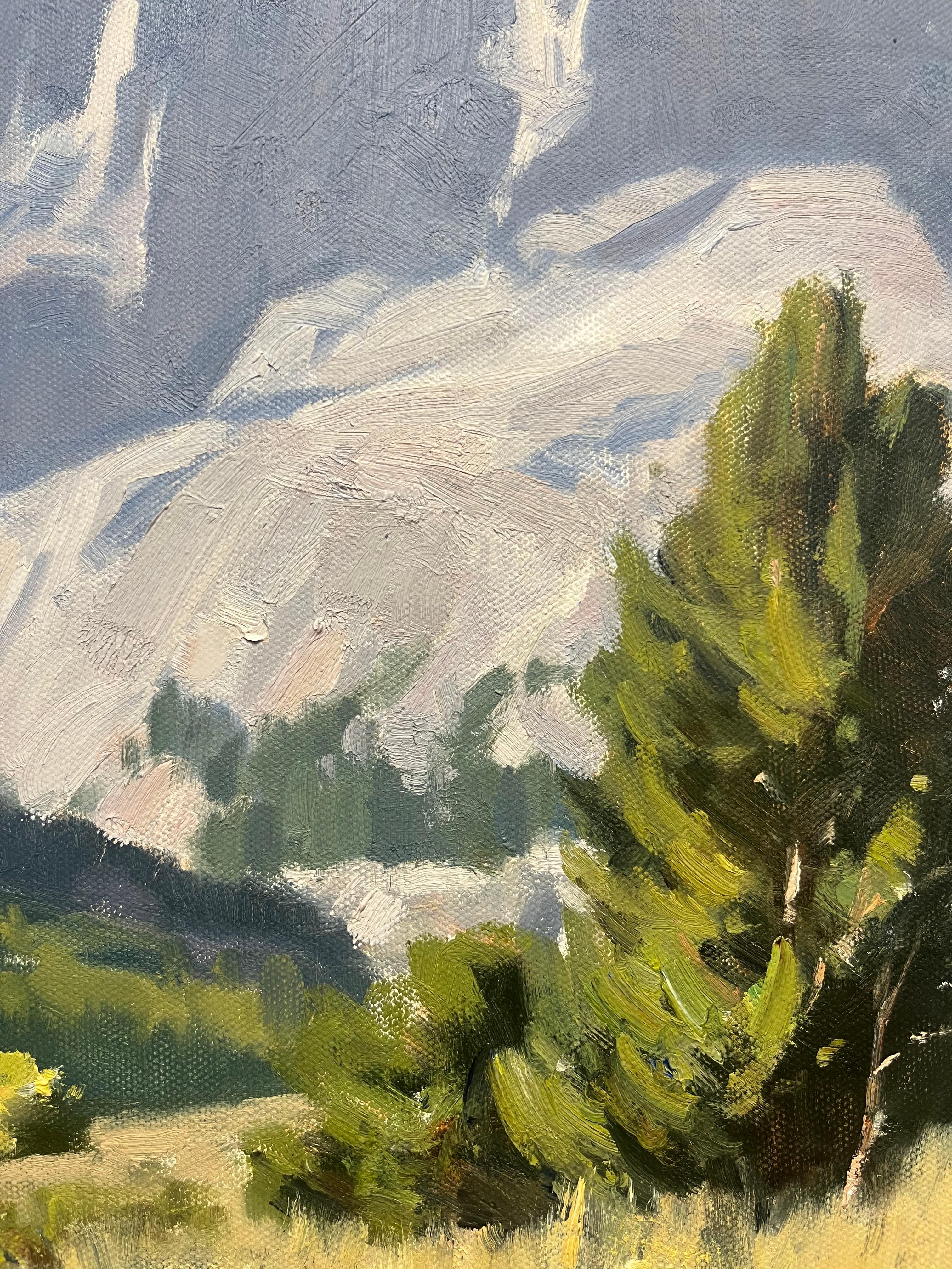 Picco di Carson; Sierra Nevada in vendita 2