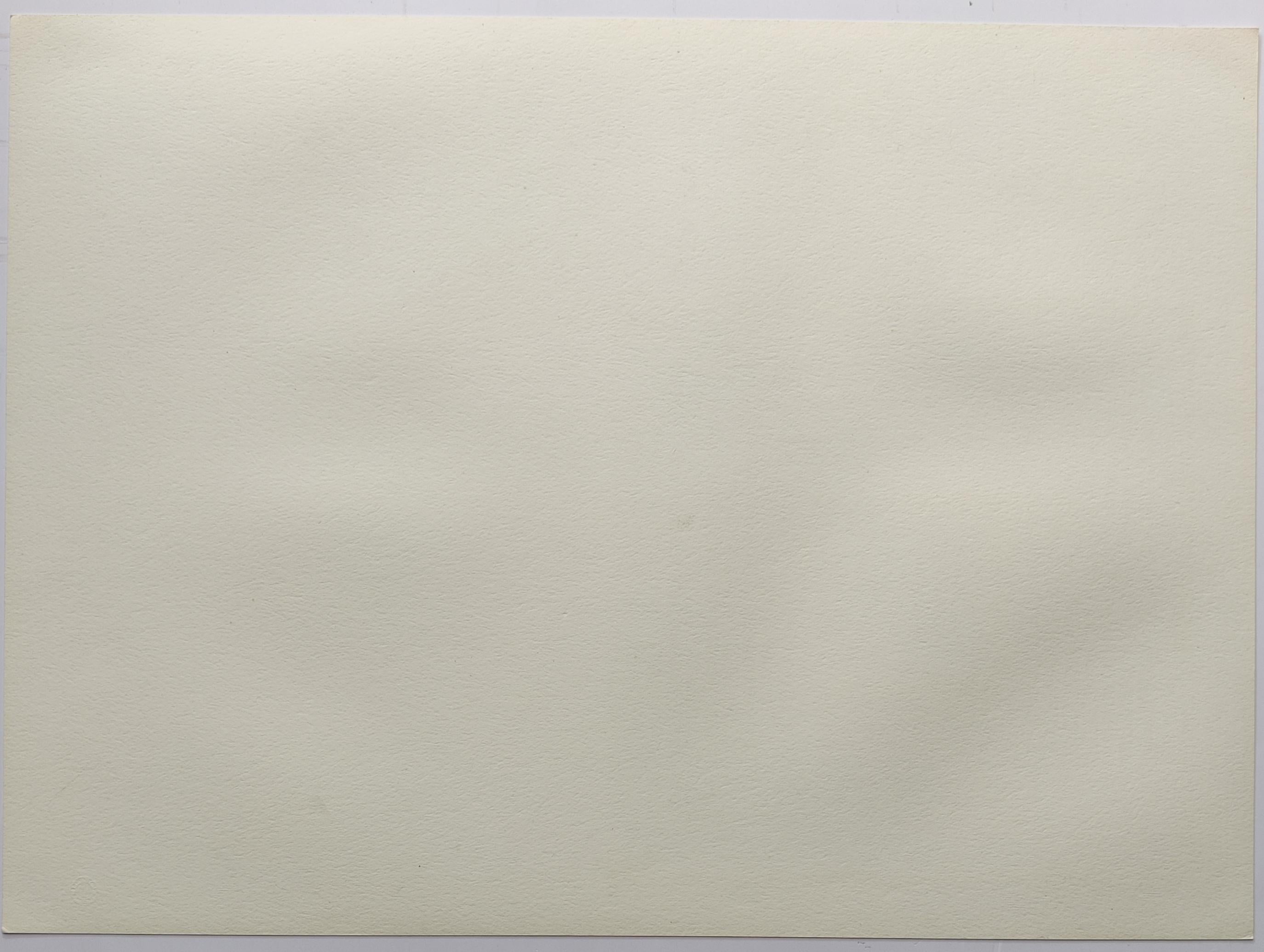 Frank Stella -- Sharpesville, from Multicolored Squares I For Sale 2