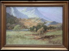 Antike schottische Highlands Landschaft signiert Ölgemälde vergoldeten Rahmen