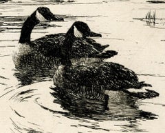 Canadian Geese (Frontispiece For Volume Two of the Paff Catalog)