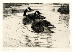Canadian Geese (Frontispiece For Volume Two of the Paff Catalog)