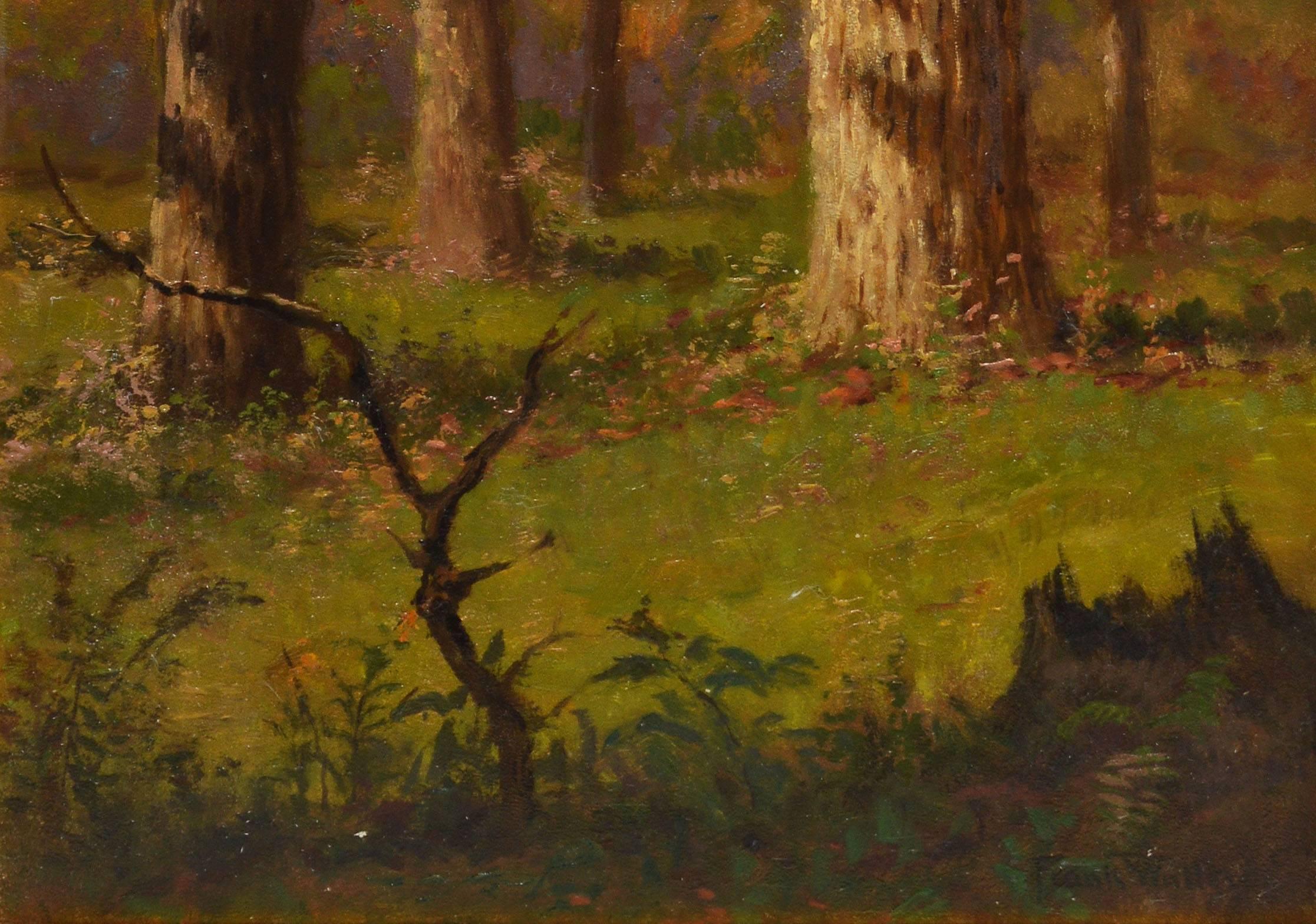 Romantic Sunlit View of a Forest by Frank Waller 1