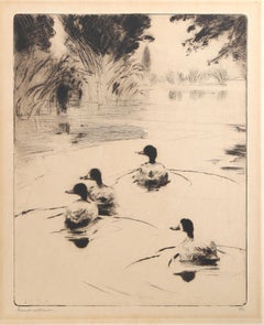 Ducks at Play, eau-forte moderne signée montée sur panneau par Frank Weston Benson