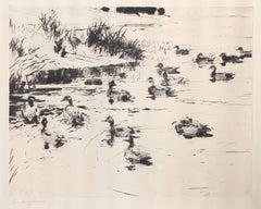 Anatre sul lago, acquaforte moderna firmata da Frank Weston Benson