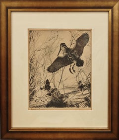 "Woodcock" Frank Weston Benson,  1930s Etching of Bird, Sandpiper, Nature