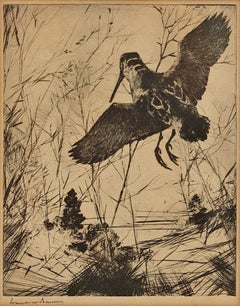 "Woodcock" Frank Weston Benson,  1930s Etching of Bird, Sandpiper, Nature