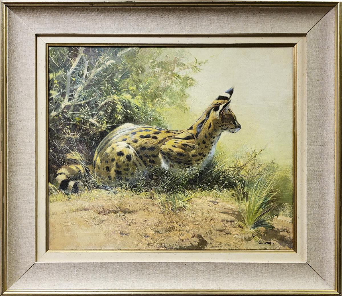 Frank Wootton Animal Painting - Serval Cat