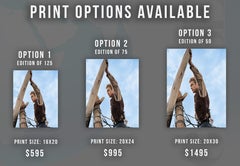 James Dean With Hand on Fence - Colorized Fine Art Print