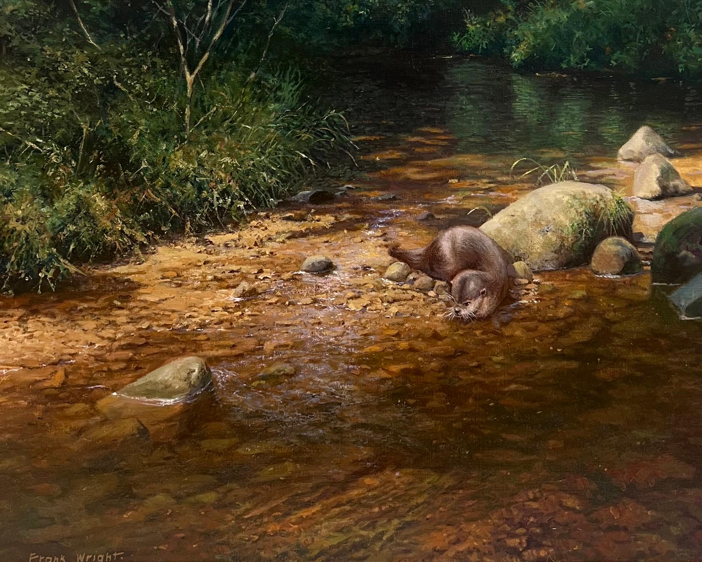 Feines englisches Ölgemälde Otter im schnell fließenden Bach Dappled Light Signiert – Painting von Frank Wright
