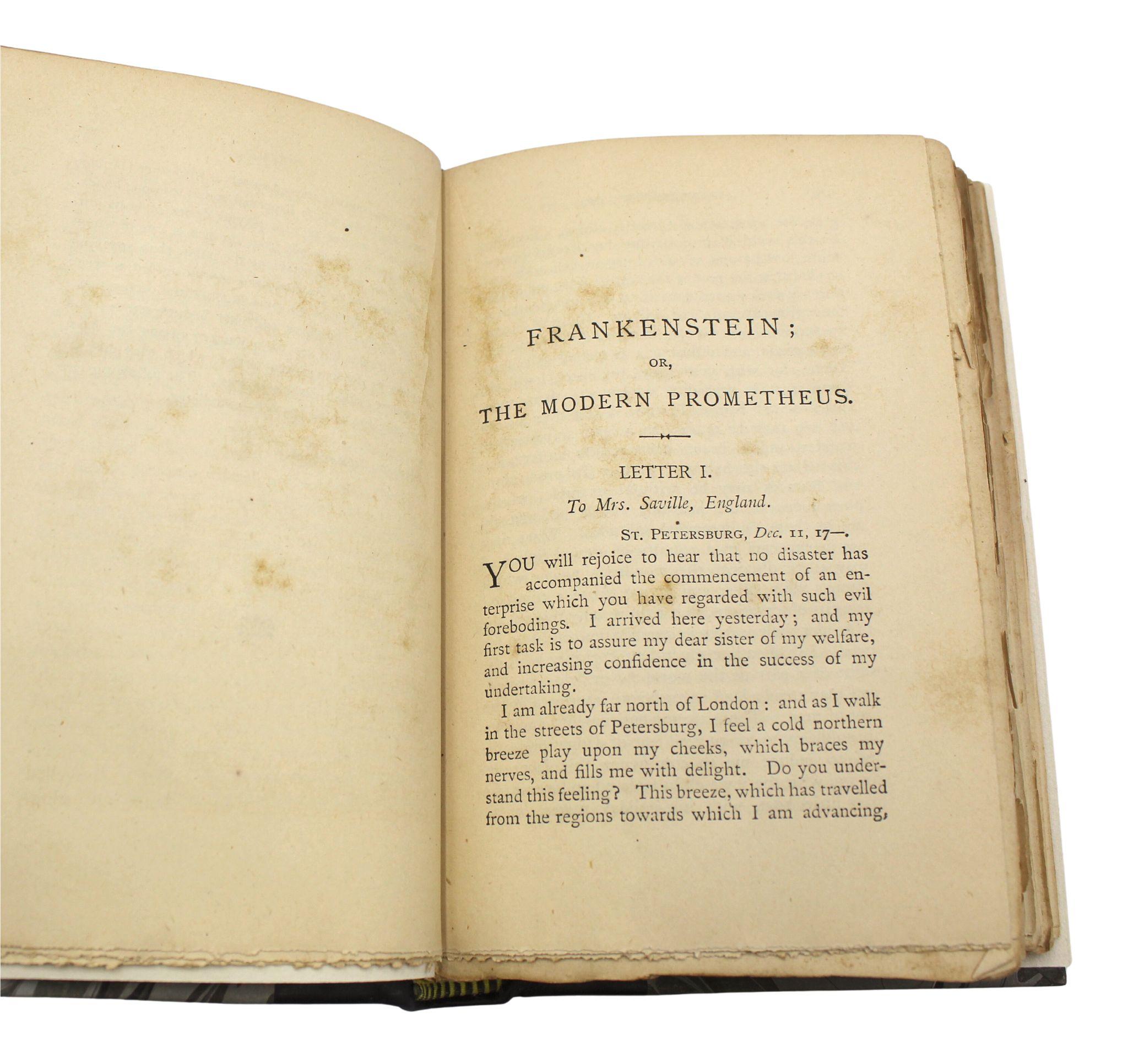 Frankenstein; or The Modern Prometheus by Mary Shelley, Later Printing, 1891 For Sale 3