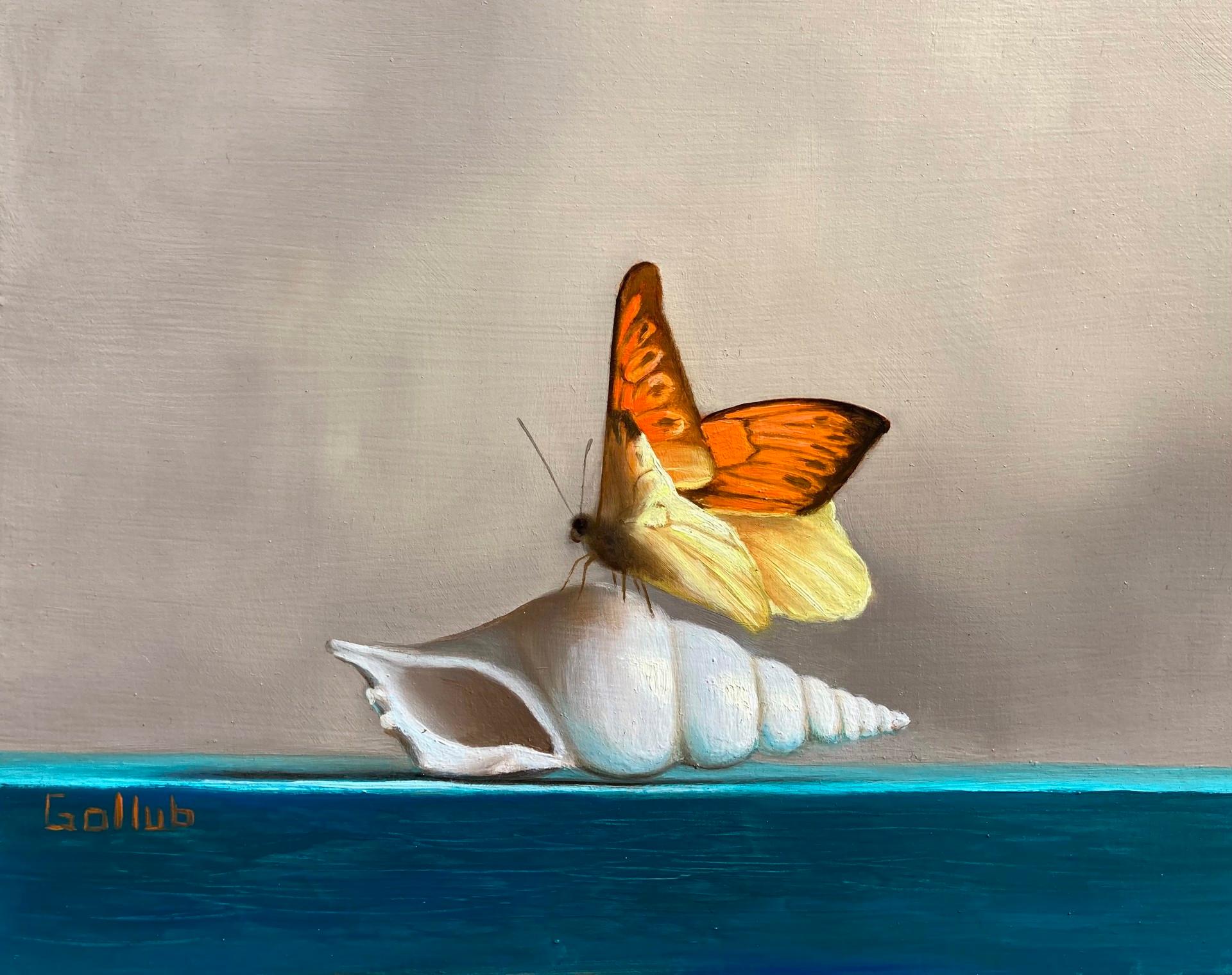 Frankie Gollub Still-Life - Orange and Teal, still-life, realism, oil painting, insects, seashells