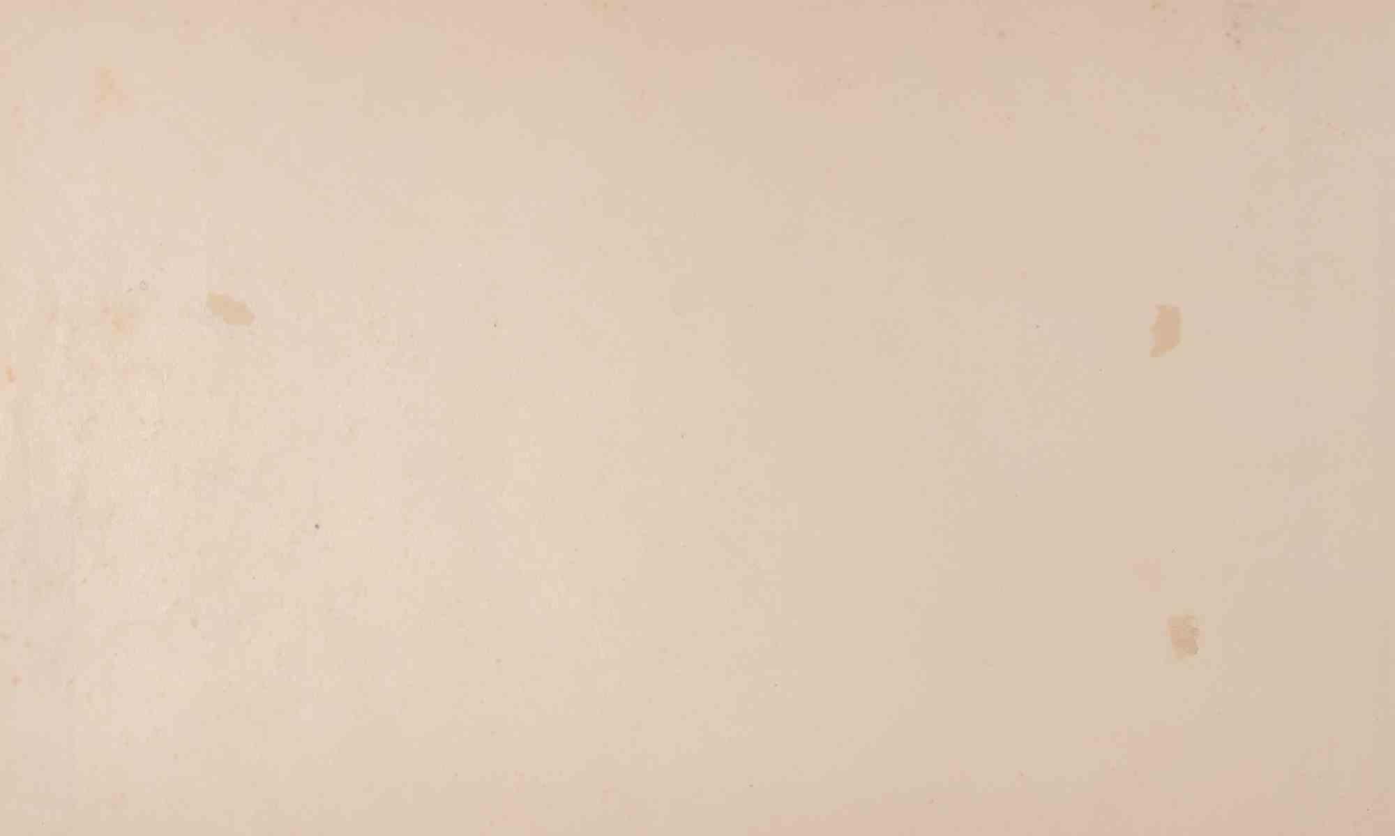 Jagd auf den Tiger - Lithographie von François-Constant Mès - Ende des 19. Jahrhunderts im Angebot 1