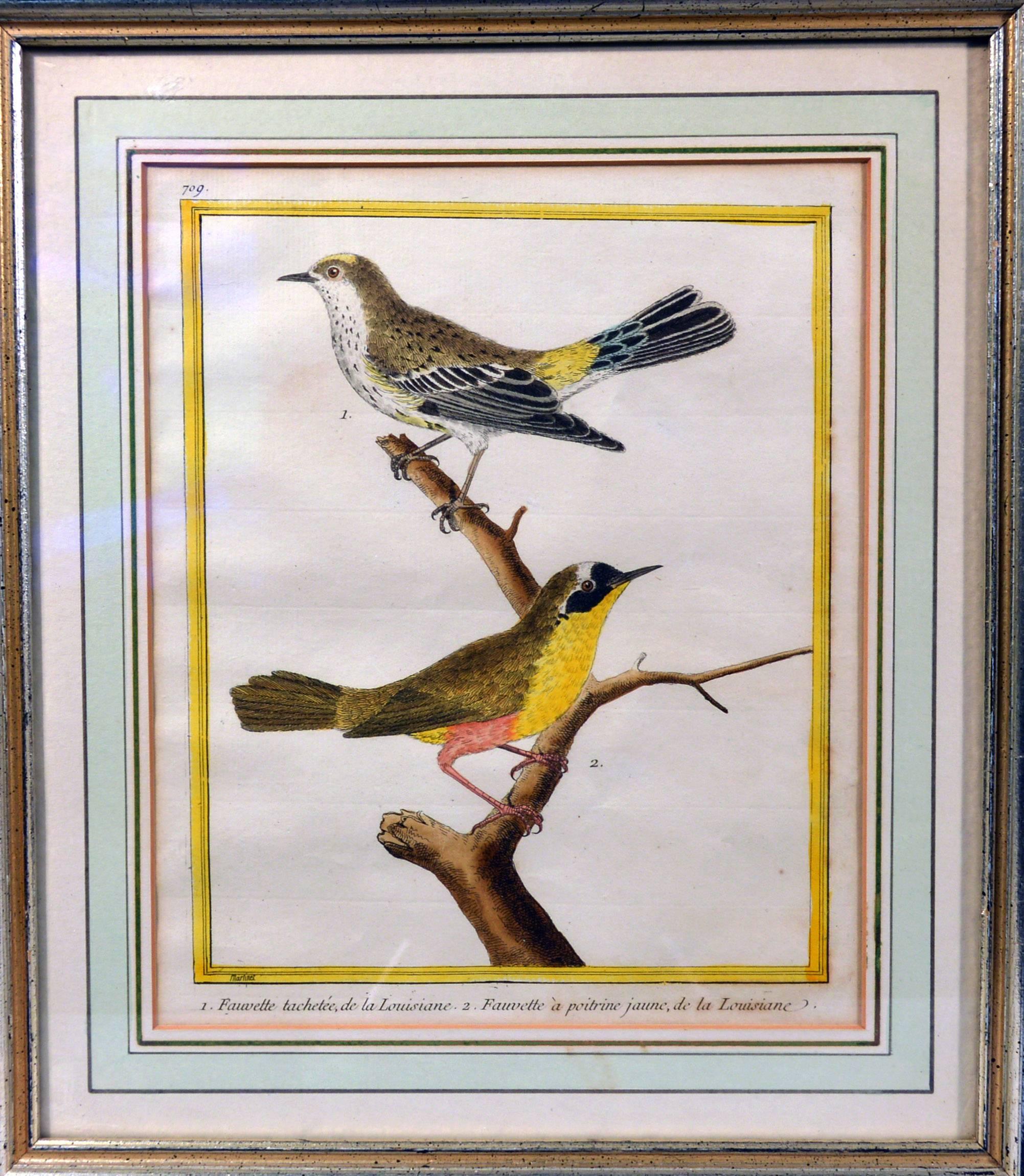 François Nicolas Martinet engravings of birds,
Histoire Naturelle des Oiseaux, 1770-1786,
Set of six,


Dimensions: Frame: 13 inches high x 13 5/8 inches wide.

These hand-colored copper-engravings are from François Nicolas Martinet's classic