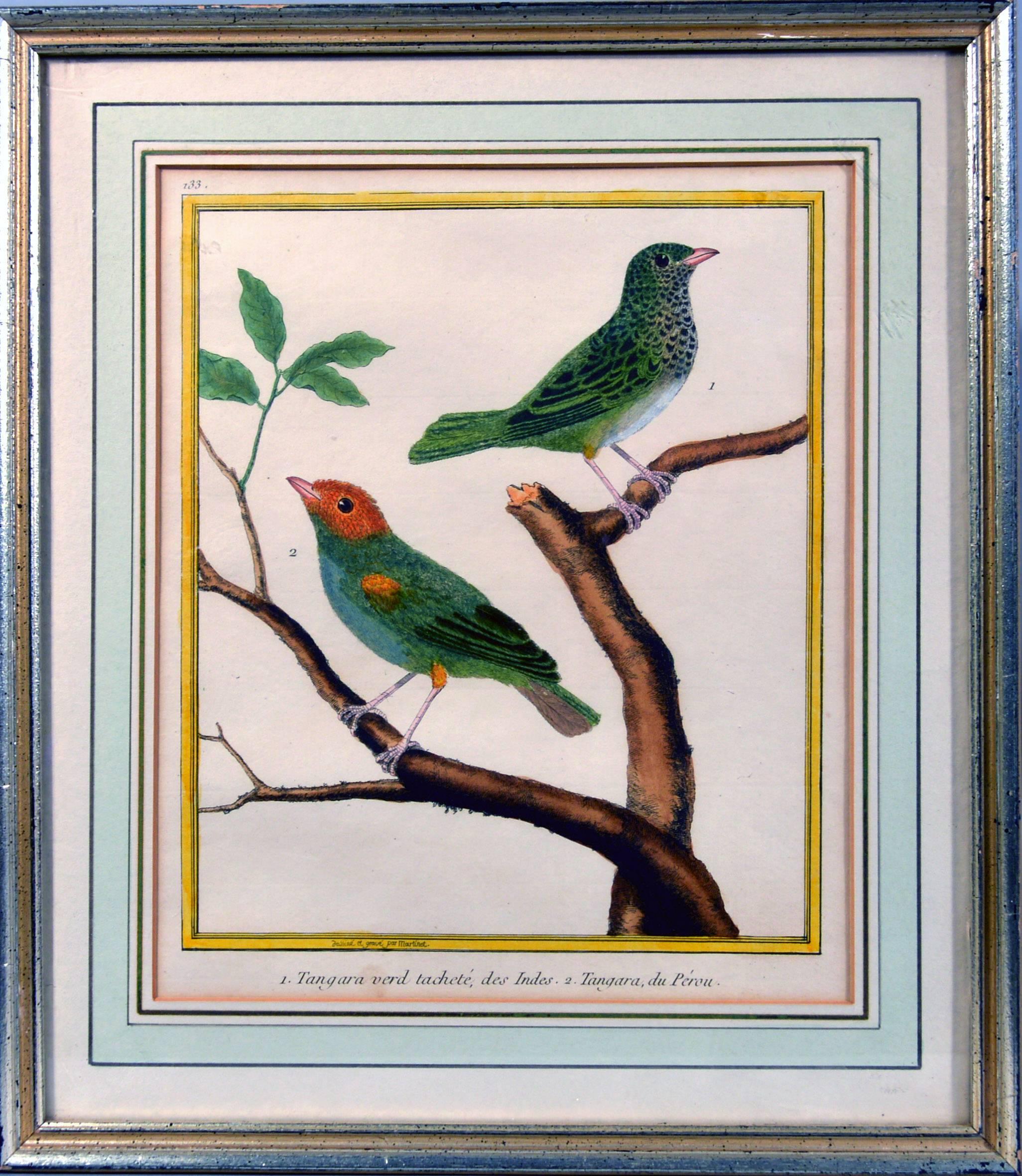 martinet bird prints