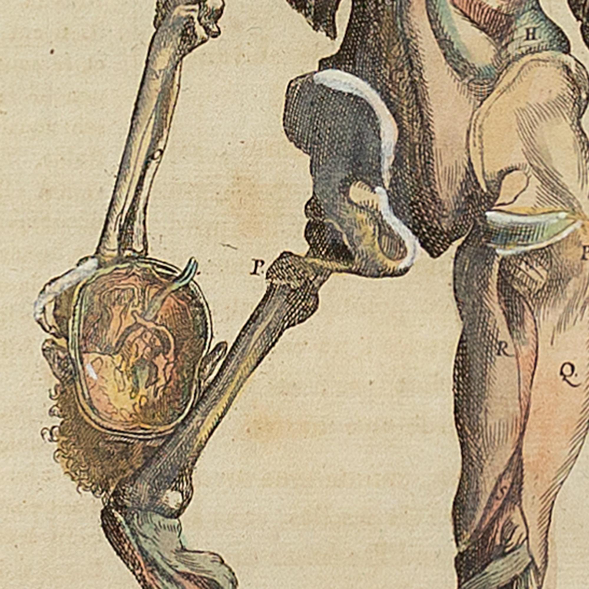 François Tortebat, 18th-Century Anatomical Engraving 3