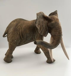 Gros Bangala - Bronce de François Vandenberghe