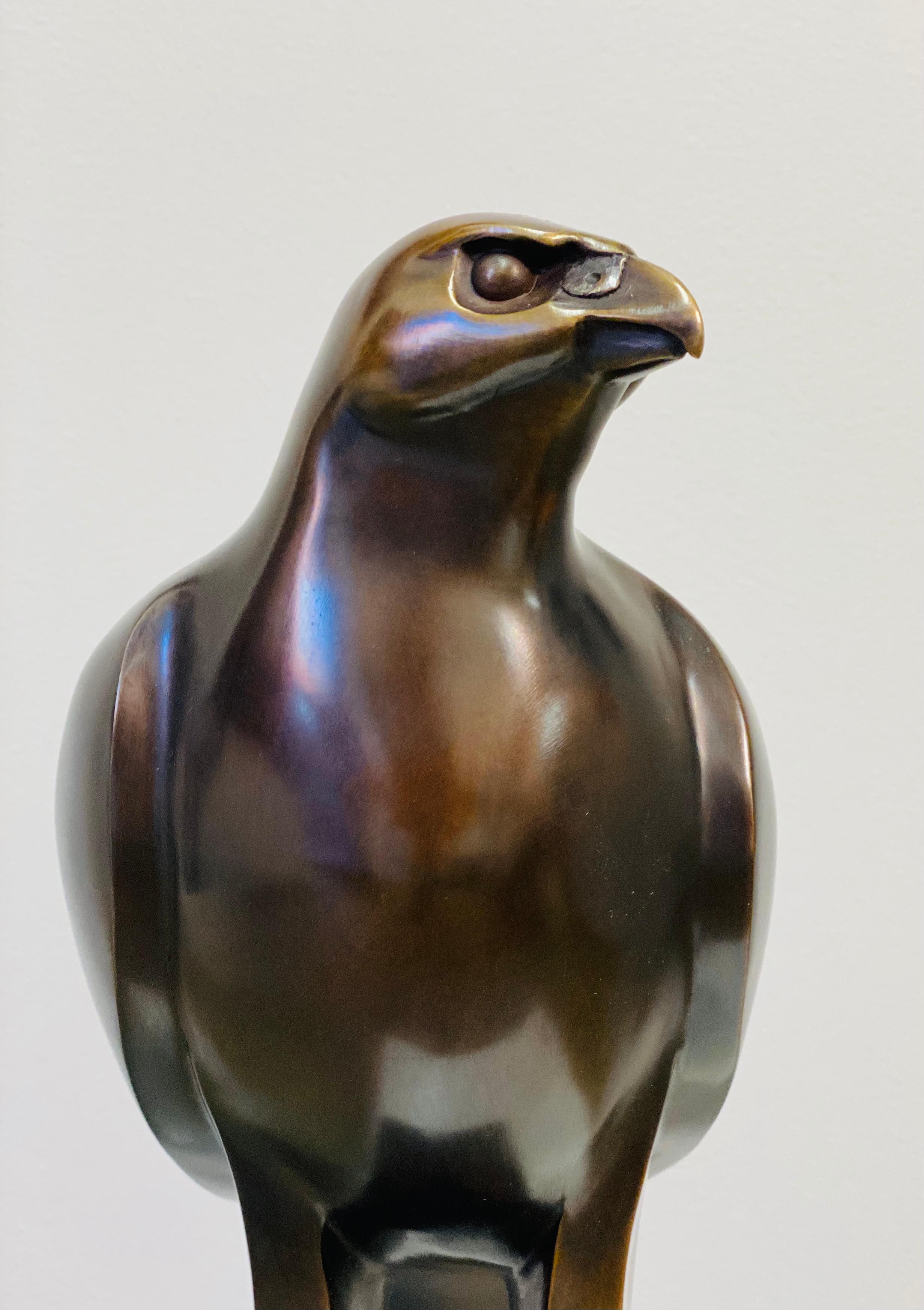 Falcon- Zeitgenössisch des 21. Jahrhunderts  Niederländische Bronze  Skulptur eines Falcons im Angebot 2