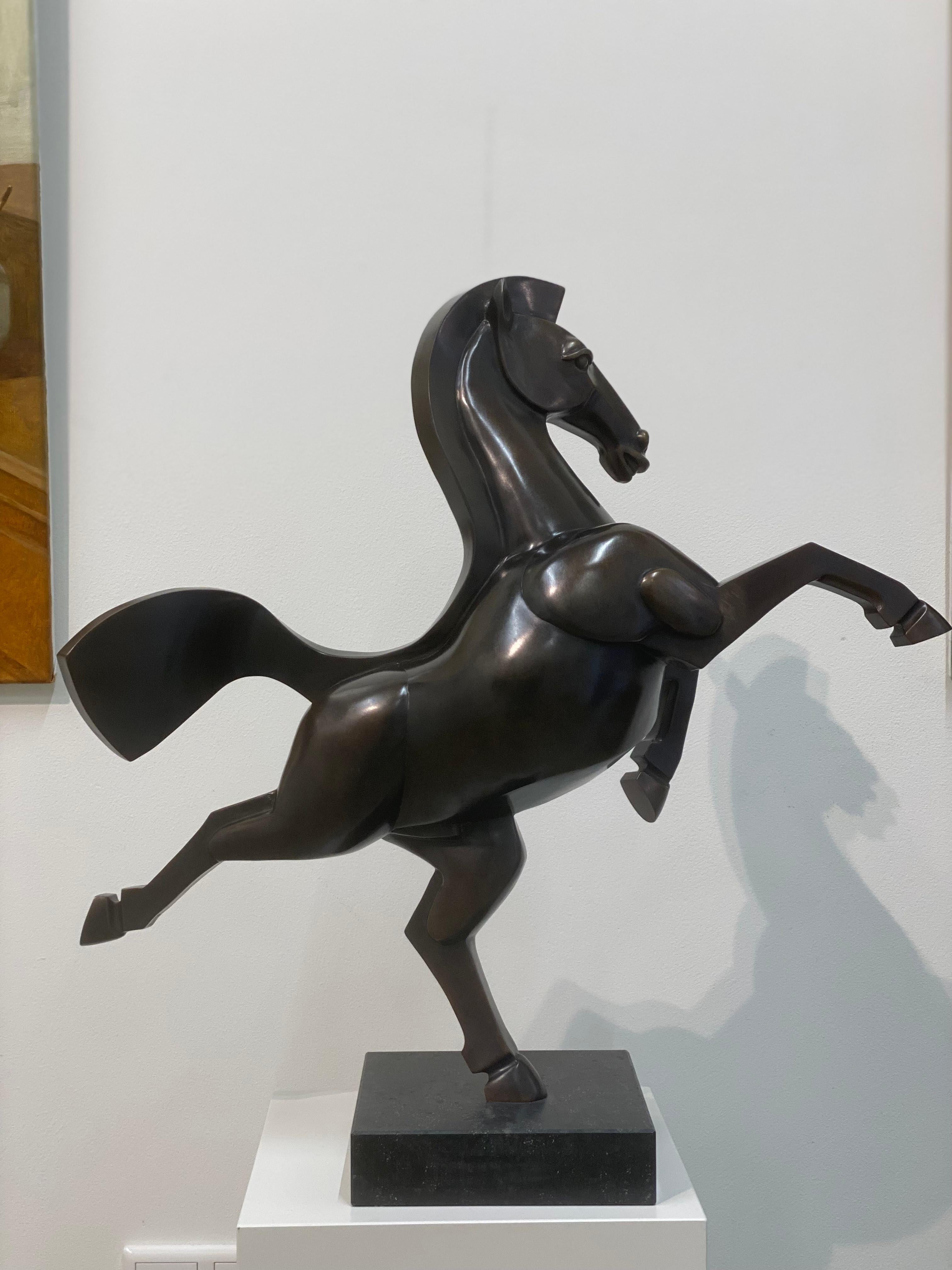 Frans van Straaten
Wilde Horse VII
Bronze on bluestone pedestal
H 65 cm W 65 cm D 35 cm

Dutch artist Frans van Straaten (1963) should be called an artist of balance always searching for harmony between force and movement in combination with space.