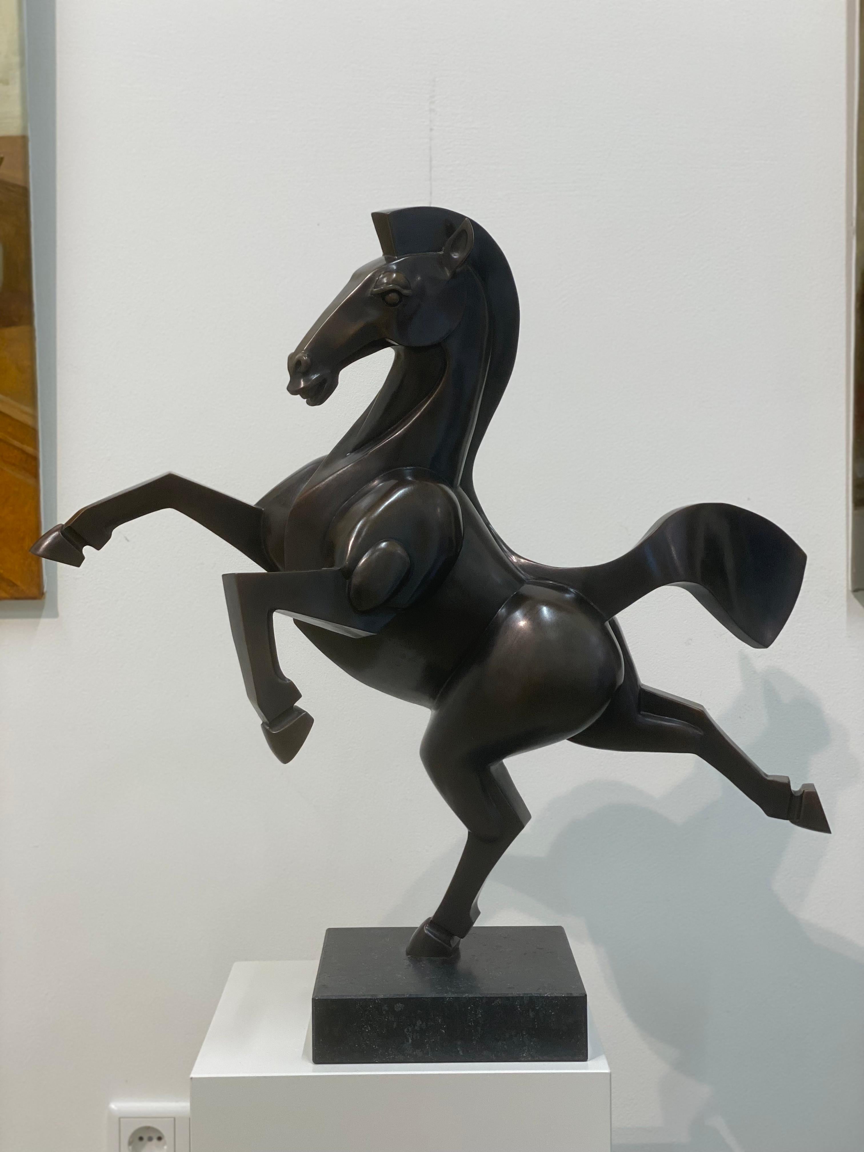Frans van Straaten
Wildes Pferd VII
Bronze auf Blaustein-Sockel
H 65 cm B 65 cm T 35 cm

Der niederländische Künstler Frans van Straaten (1963) sollte als Künstler des Gleichgewichts bezeichnet werden, der immer auf der Suche nach Harmonie zwischen