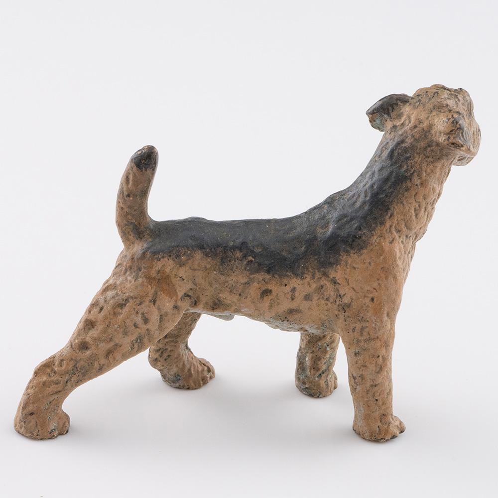 Austriaco Franz Bergman bronzo Airedale Terrier c1900 in vendita