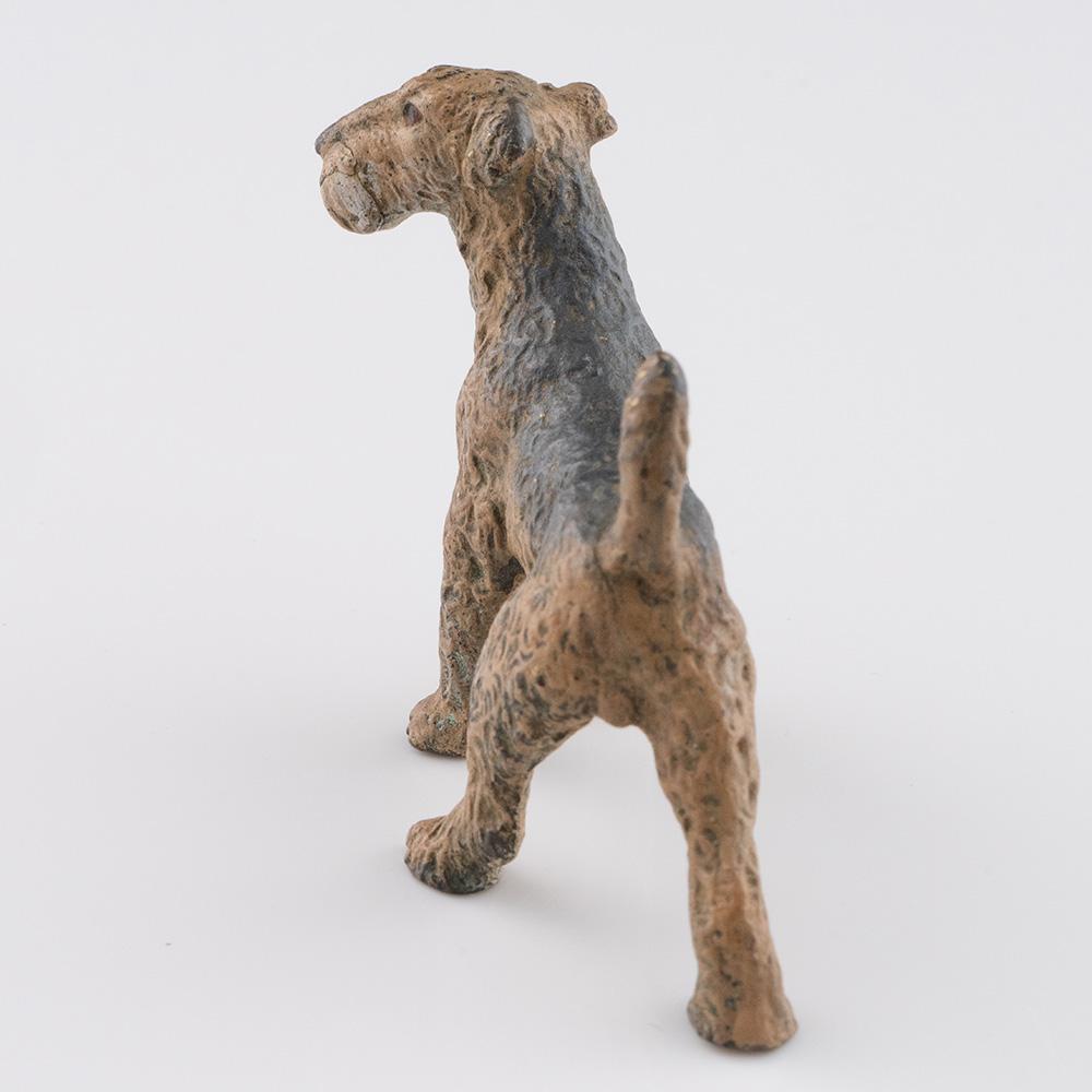 Franz Bergman bronzo Airedale Terrier c1900 In condizioni buone in vendita a Tunbridge Wells, GB