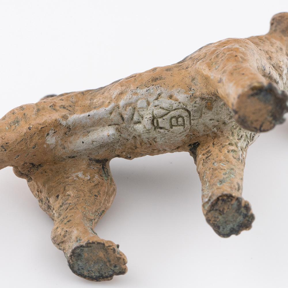 XX secolo Franz Bergman bronzo Airedale Terrier c1900 in vendita