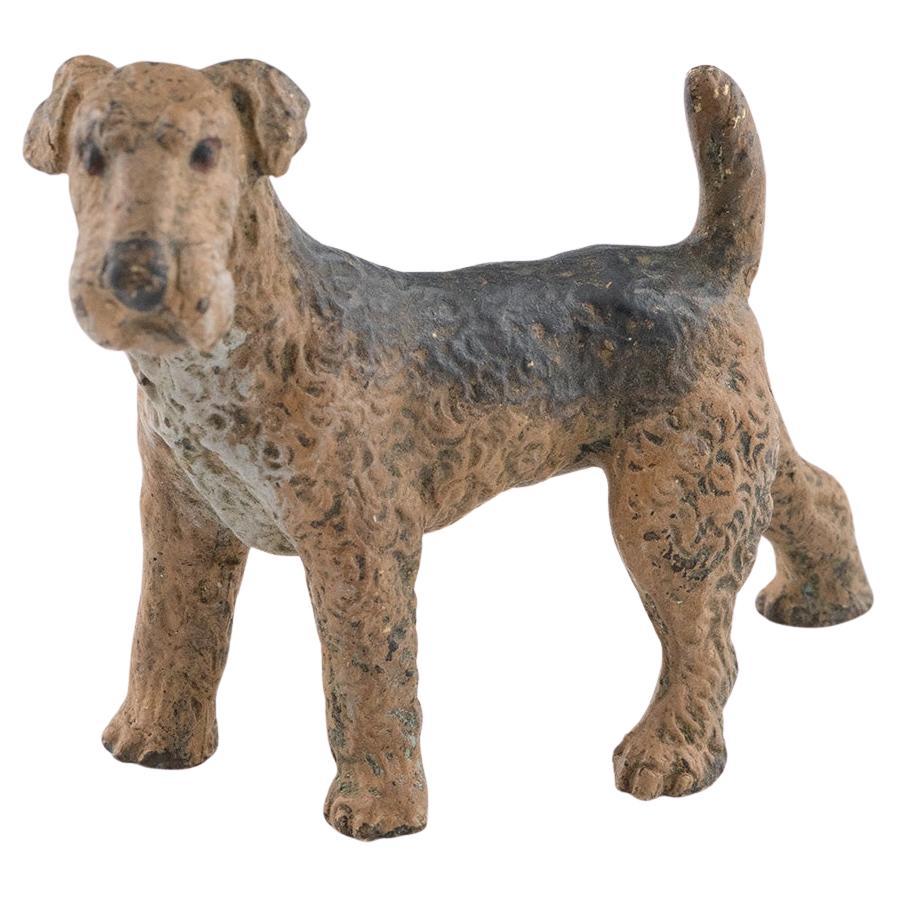 Franz Bergman bronzo Airedale Terrier c1900 in vendita