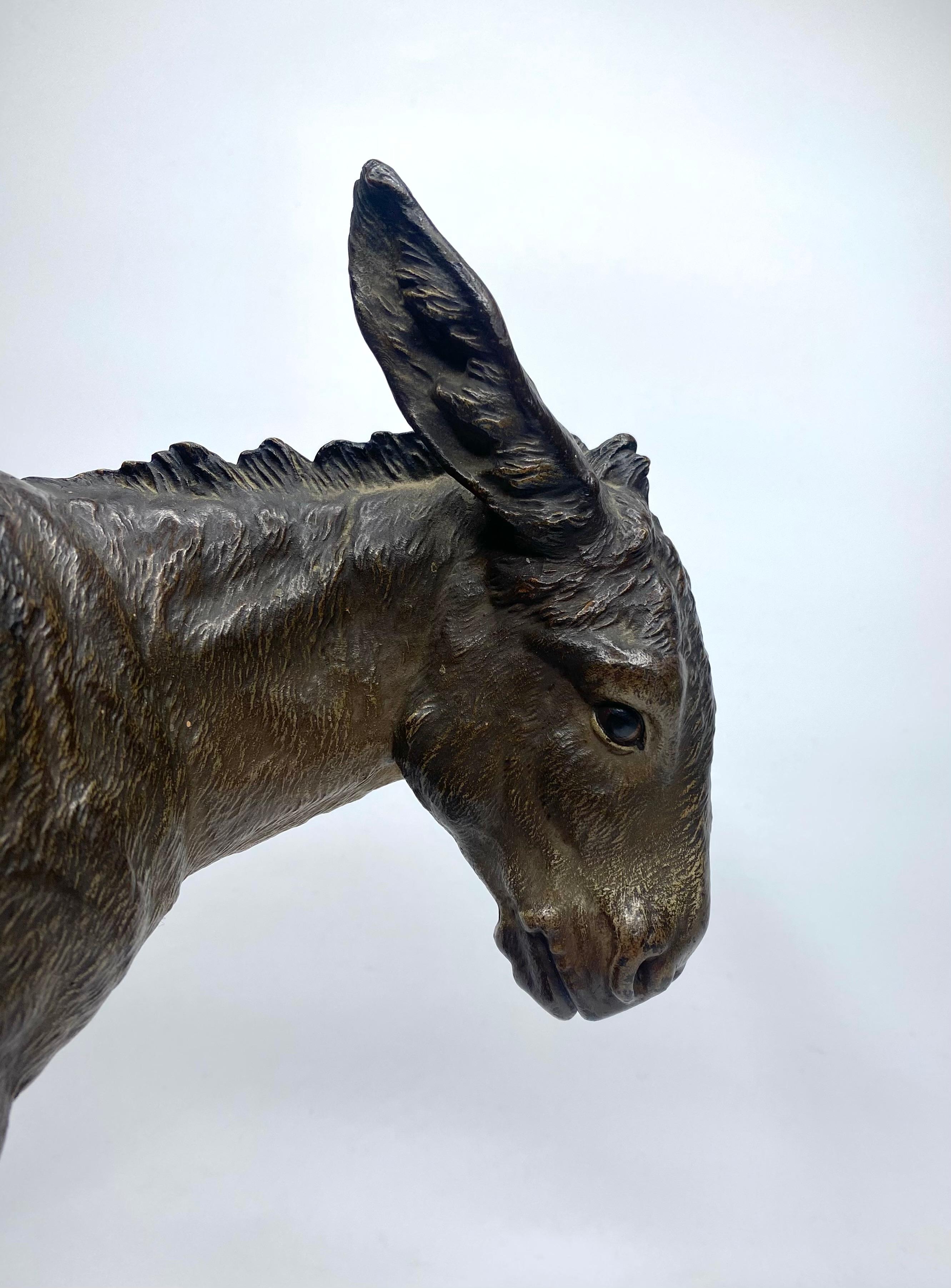 Franz Bergman cold painted bronze Donkey, c. 1900. In Excellent Condition In Gargrave, North Yorkshire