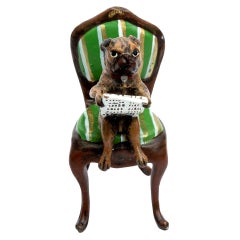 Franz Bergman Cold Painted Pug Bronze