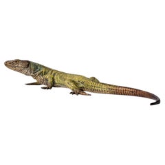 Franz Bergman Vienna Bronze Lizard Sculpture, Cold-Painted, 1900s
