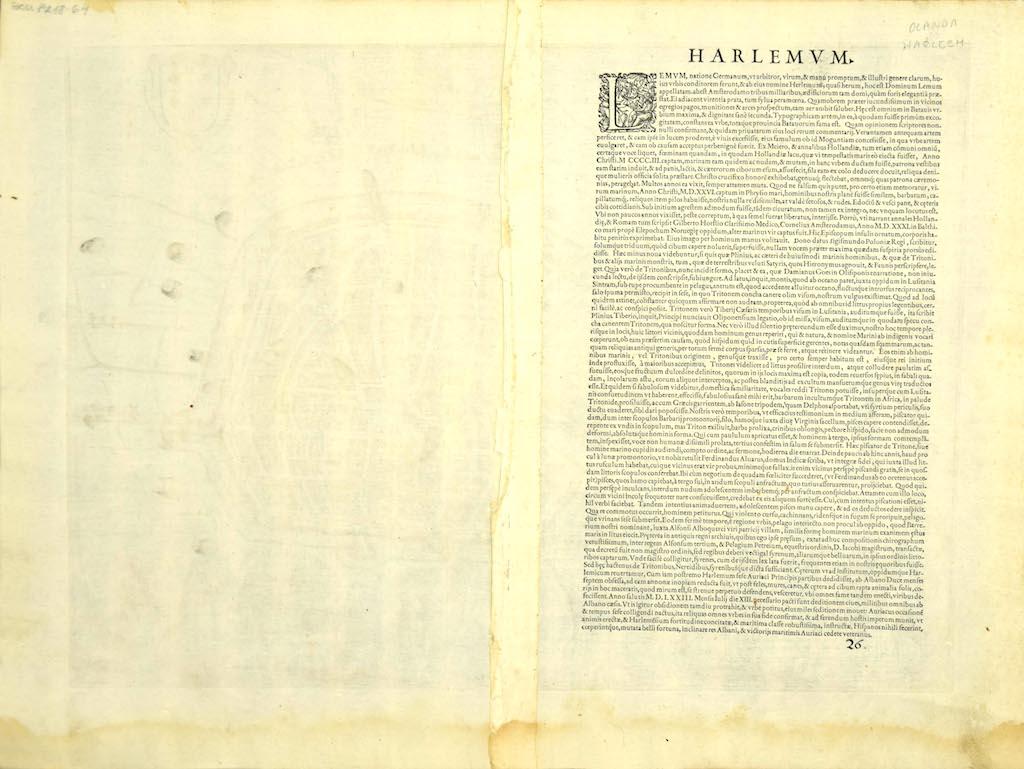 Veduta di Haarlem, Paesi Bassi - di G. Braun e F. Hogenberg - Fine del 1500 - Print di Frans Hogenberg
