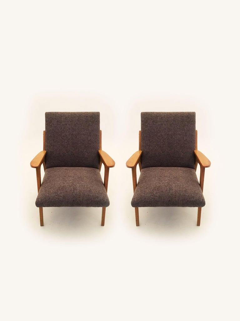 Franz Schuster Lounge Chairs "Architect" Pair, Austria, 1950s For Sale