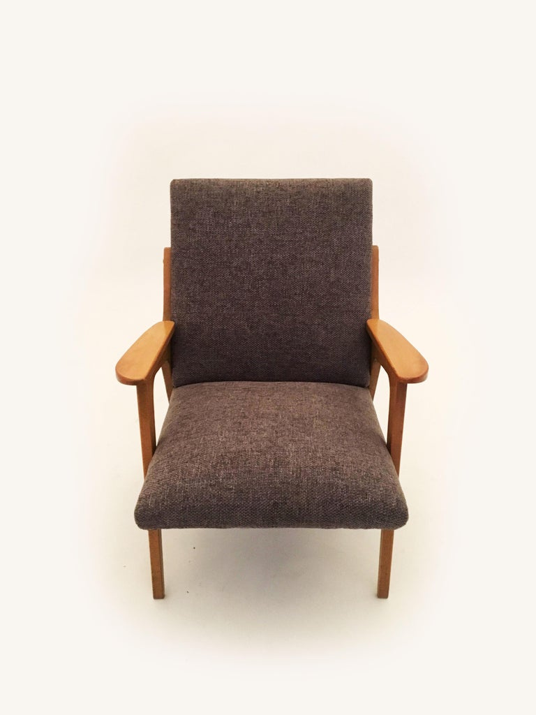 Franz Schuster Lounge Chairs "Architect" Pair, Austria, 1950s For Sale