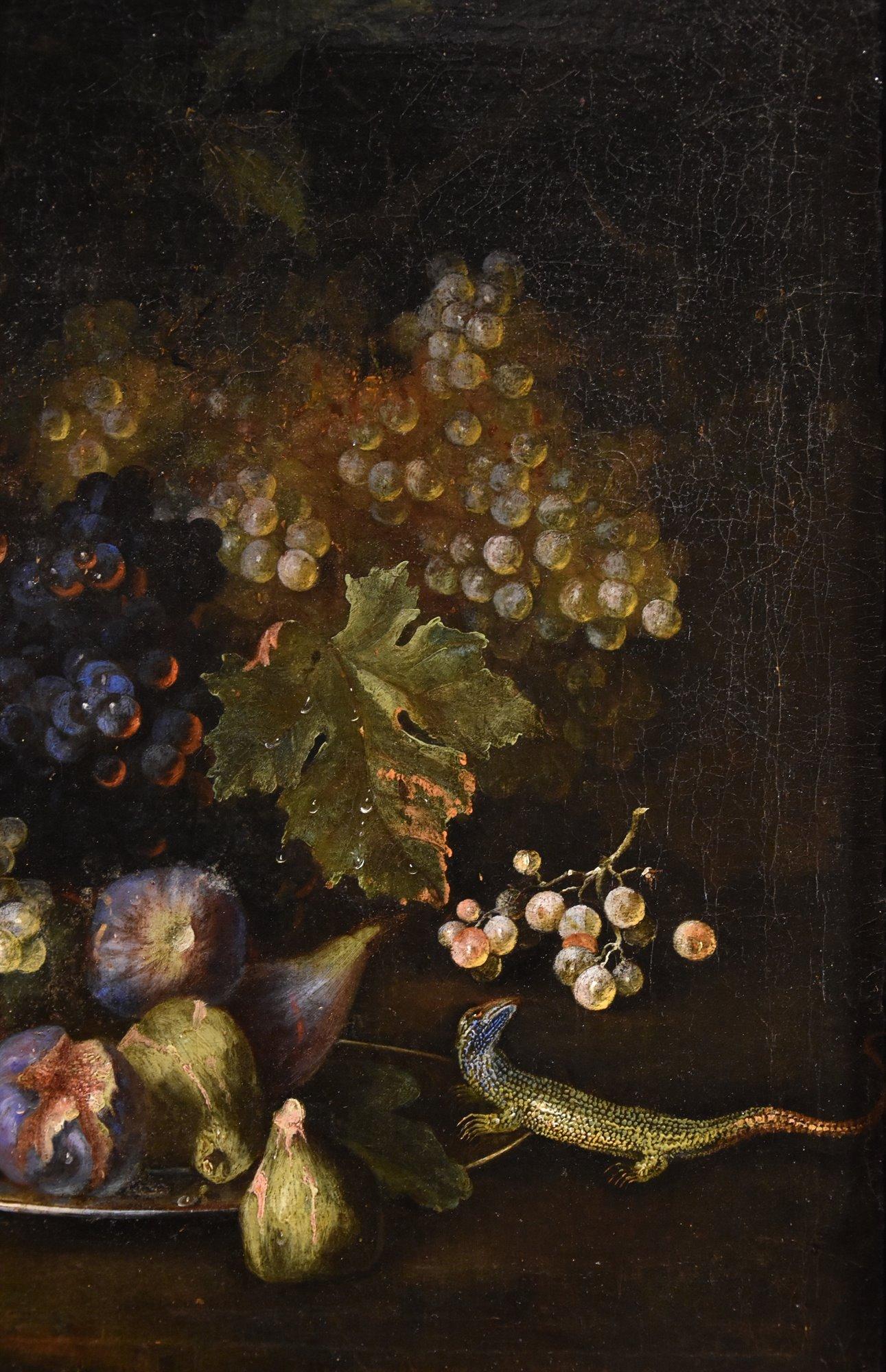 Franz Werner Von Tamm known as Monsieur Daparait (Hamburg 1658-Vienna 1754) Attributed to
Still life of fruit with lizard

Oil on canvas,
58 x 74 cm.
Framed 76 x 92 cm.

This magnificent still life (of which the related pendant is also available