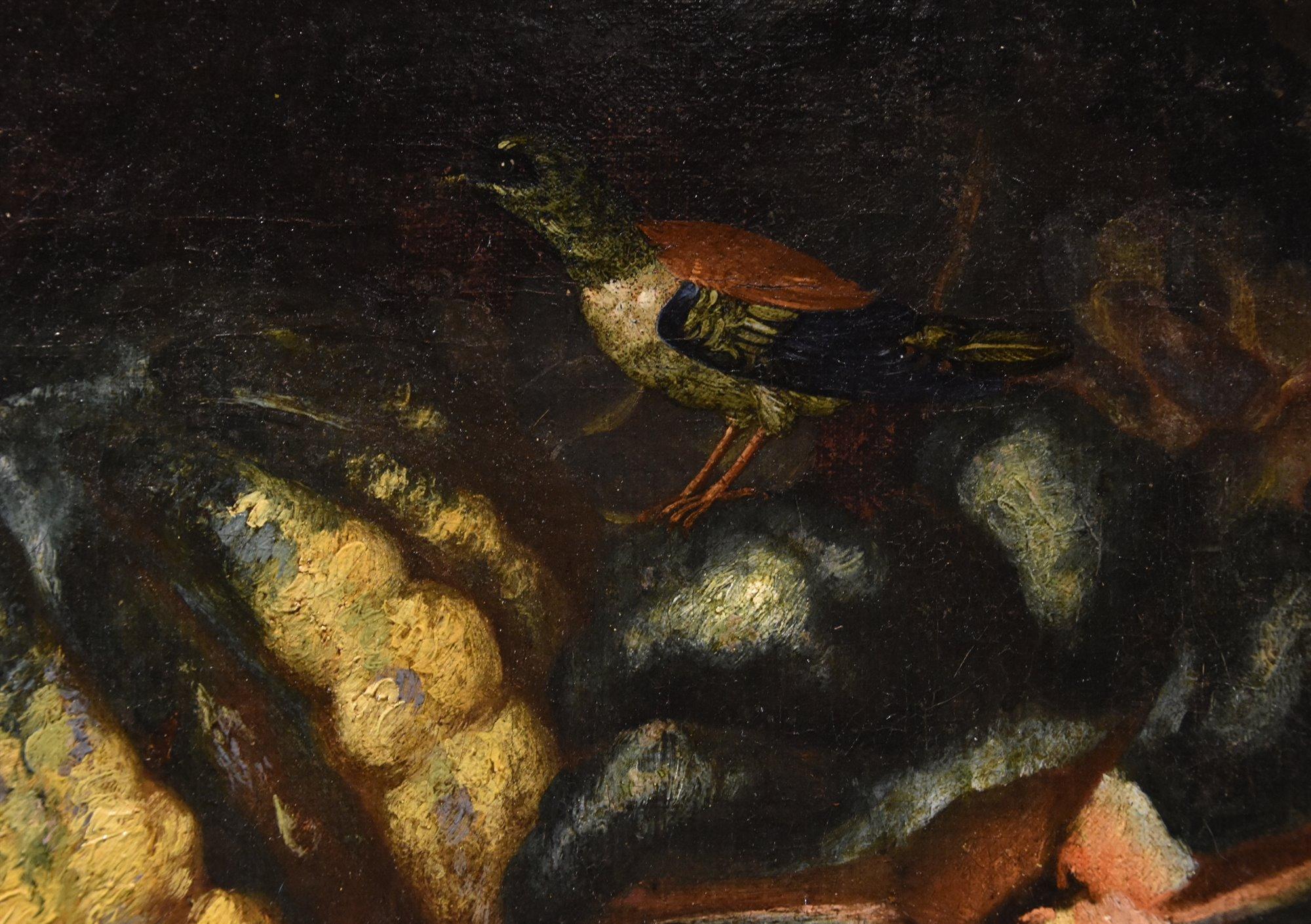 Natura morta di fiori Von Tamm 17/18° Secolo Dipinto Olio su tela Vecchio maestro Italia in vendita 6
