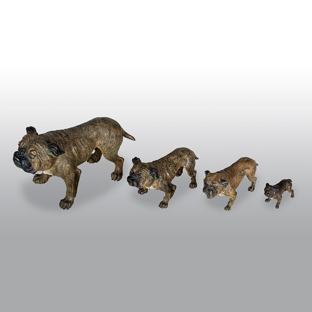 In the manner Franz Xaver Bergman 
Austrian crica 1900

A set of 4 Austrian cold painted bronzes of bulldogs in decreasing sizes. 

Measures: Big dog
7.25 inches wide
4.5 inches high 
3.75 inched deep

Other dogs decreasing in size.
 